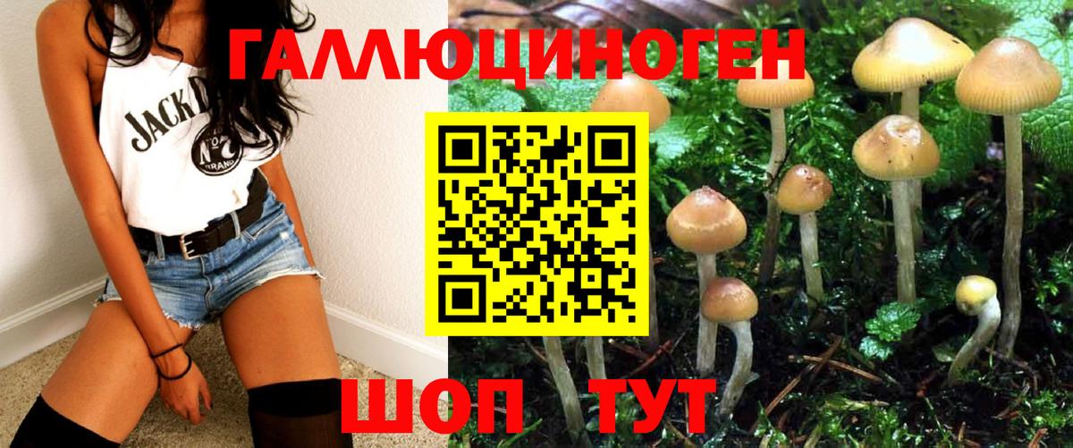 Псилоцибиновые грибы Psilocybe  Псилоцибиновые грибы Magic Shrooms  Вход с VPN  Каменка 